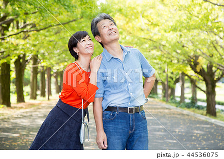 仲の良い夫婦 秋の散歩道 イチョウ並木 シニア夫婦 44536075