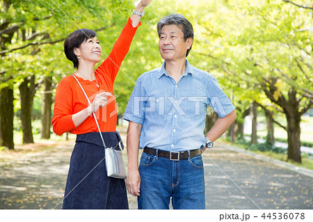 仲の良い夫婦 秋の散歩道 イチョウ並木 シニア夫婦 44536078