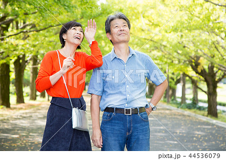 仲の良い夫婦 秋の散歩道 イチョウ並木 シニア夫婦 44536079