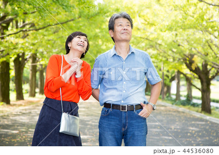 仲の良い夫婦 秋の散歩道 イチョウ並木 シニア夫婦 44536080