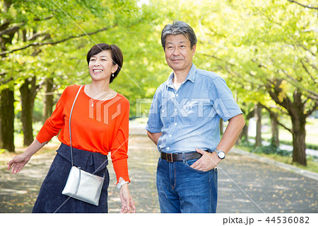 仲の良い夫婦 秋の散歩道 イチョウ並木 シニア夫婦 44536082