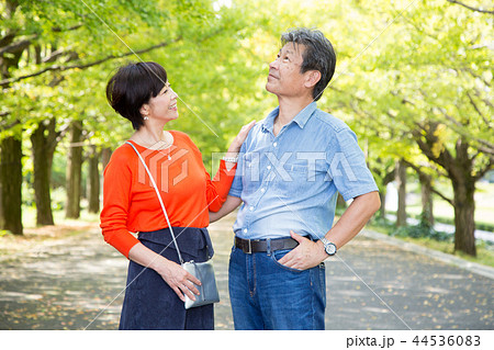 仲の良い夫婦 秋の散歩道 イチョウ並木 シニア夫婦 44536083
