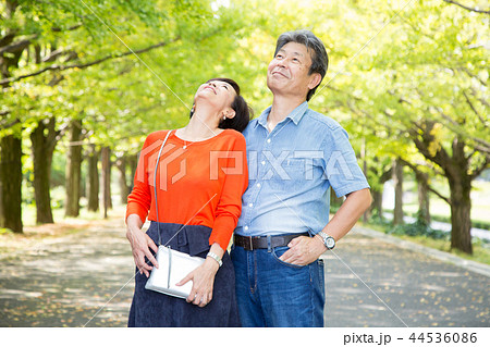 仲の良い夫婦 秋の散歩道 イチョウ並木 シニア夫婦 仲の良い夫婦 秋の散歩道 イチョウ並木 シニア夫婦 44536086