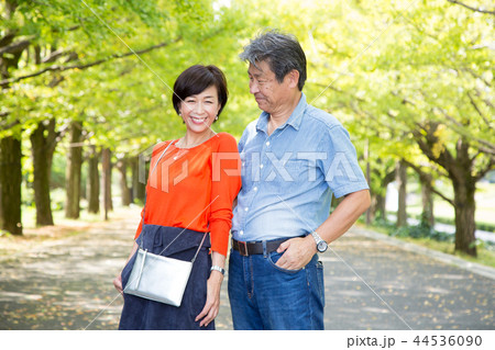 仲の良い夫婦 秋の散歩道 イチョウ並木 シニア夫婦 44536090