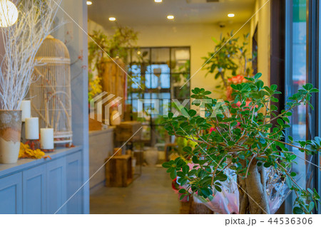 花屋 フラワーショップ 44536306