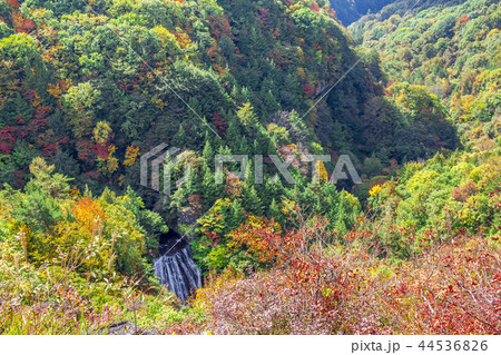 長野県　茅野市　蓼科高原　横谷観音展望台 44536826