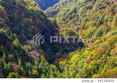 長野県　茅野市　蓼科高原　横谷観音展望台 44536839