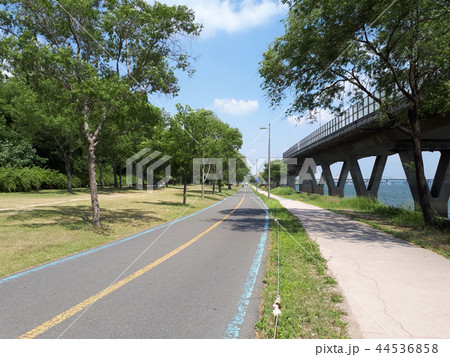 江辺北路 麻浦区 マポグ 44536858
