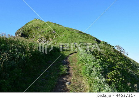利尻島ペシ岬 44537317