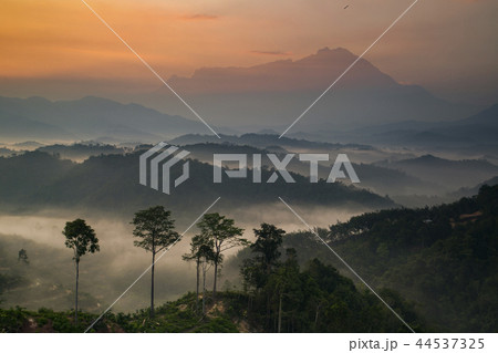 Misty Sunrise Misty Sunrise 44537325