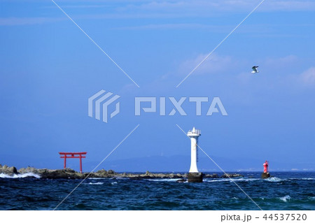 灯台と鳥居とカモメ 灯台と鳥居とカモメ 44537520