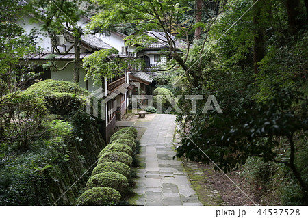 瑞光山 清水寺 瑞光山 清水寺 44537528