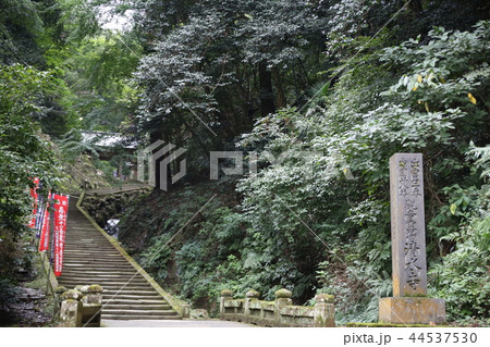 瑞光山 清水寺 瑞光山 清水寺 44537530