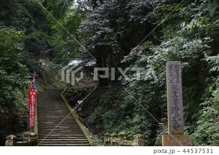 瑞光山 清水寺 瑞光山 清水寺 44537531