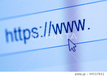 Web Icon Web Icon 44537632