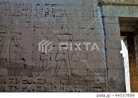 エジプエジプト　ラムセス2世、ラメセス2世・ラムセス3世、ラメセス3世　遺跡 44537699