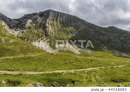 Beautiful landscape in Montenegro 44538063