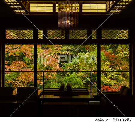 旅館の紅葉 44538096
