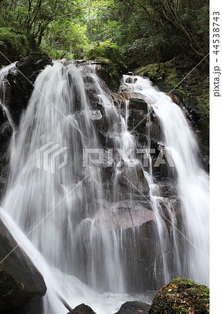 信楽町 鶏鳴の滝 信楽町 鶏鳴の滝 44538743