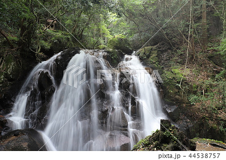信楽町　鶏鳴の滝 44538757