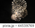 花火 44539769