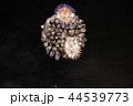 花火 44539773