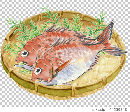 鯛 たい 2尾 ひば ざる 44539848