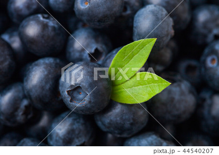 Fresh raw organic blueberries with leaf in pile. Fresh raw organic blueberries with leaf in pile. 44540207