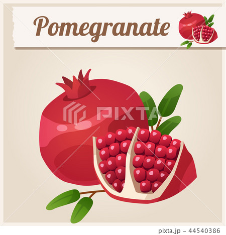 Detailed Icon. Pomegranate. 44540386