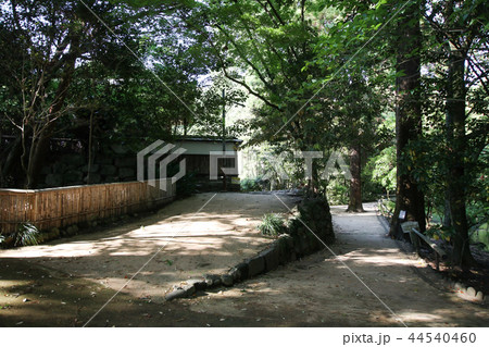 立田自然公園 立田自然公園 44540460