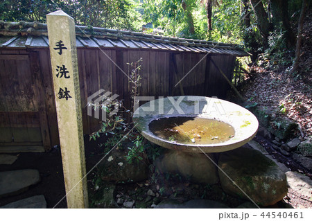 立田自然公園 立田自然公園 44540461