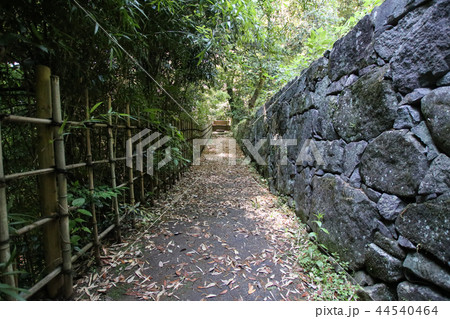 立田自然公園 立田自然公園 44540464