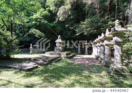 立田自然公園 立田自然公園 44540467