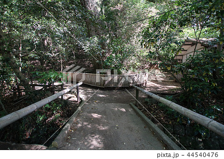 立田自然公園 立田自然公園 44540476