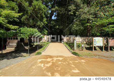 立田自然公園 立田自然公園 44540478