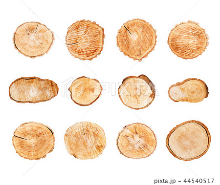 Wood logs set isolated on white background vector 44540517
