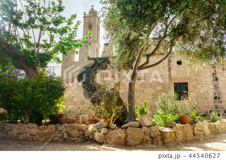 Flower bed with flowers and trees 44540627