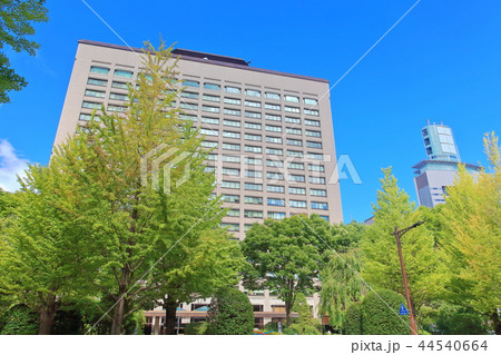 晴天の宮城県庁舎 晴天の宮城県庁舎 44540664