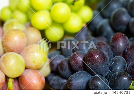 ぶどう（盛合せ）しずる 44540782
