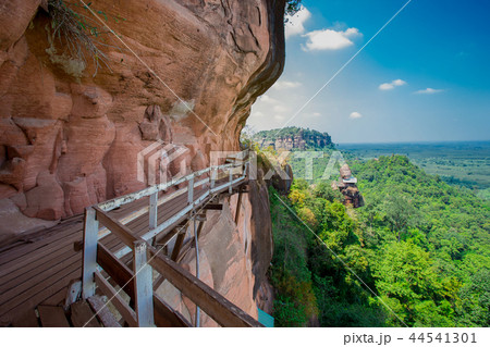 Forest, Green Color, Ladder, Mountain,Wood bridge 44541301