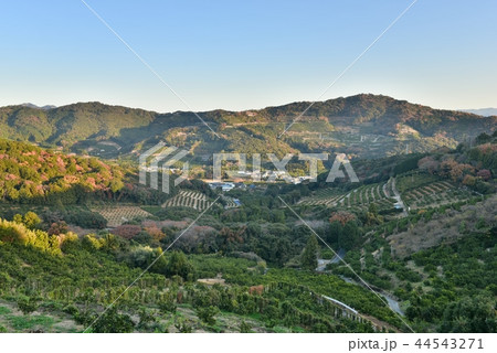 山に囲まれた集落を見下ろす 山に囲まれた集落を見下ろす 44543271