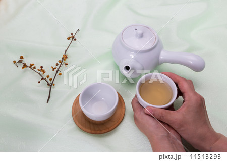 伝統 茶器 区 44543293