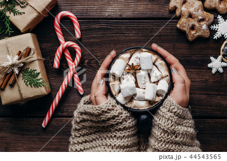 woman in knitted sweater with mug of hot chocolate woman in knitted sweater with mug of hot chocolate 44543565