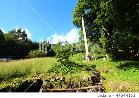 諏訪大社(上社前宮)御柱 44544153