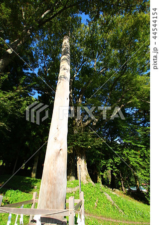 諏訪大社(上社前宮)御柱 諏訪大社(上社前宮)御柱 44544154