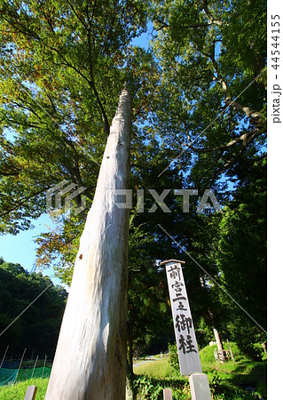 諏訪大社(上社前宮)御柱 44544155