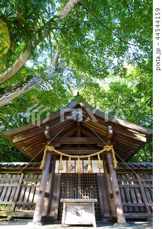 諏訪大社(上社前宮) 諏訪大社(上社前宮) 44544159