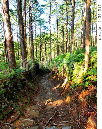 中辺路街道  中辺路街道  44544517