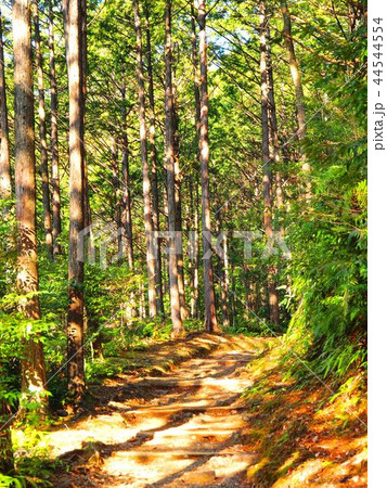 中辺路街道  中辺路街道  44544554