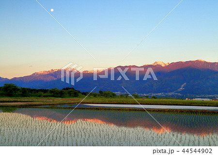 月と明け行く南アルプス 44544902